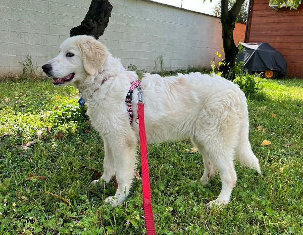 LELLA DELIZIOSA MAREMMANINA Foto 5